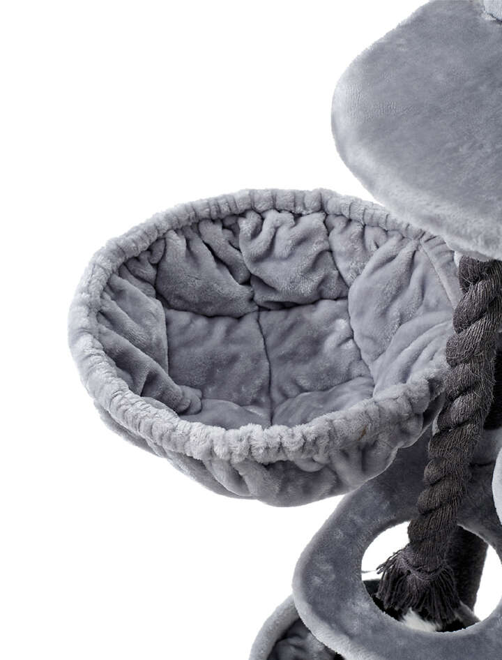 Nobby Kratzbaum Kyla